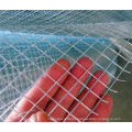 Direct Factory of Galvanized / PVC Coated Welded Wire Mesh with Lower Price